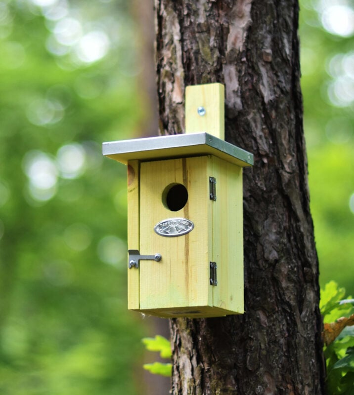 Budka lęgowa naturalna - aranżacja